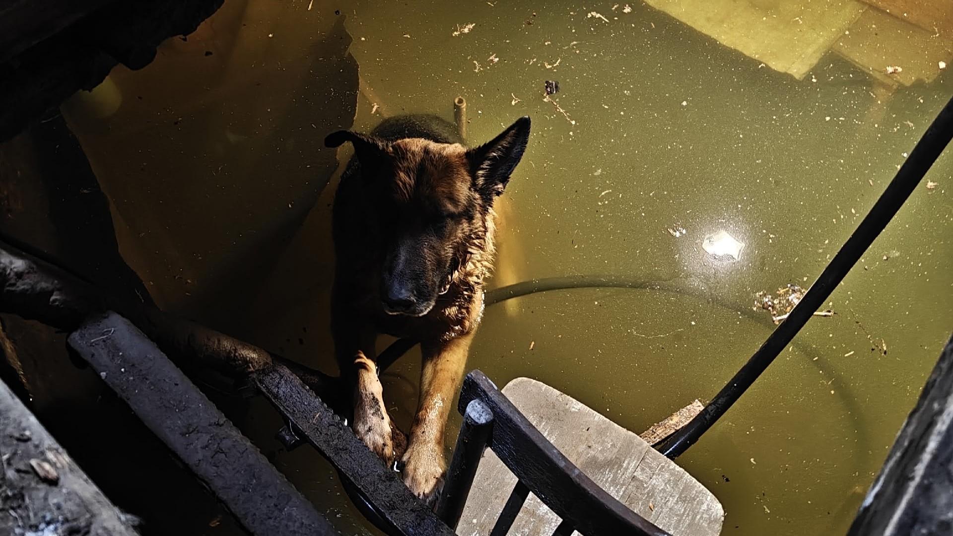 фото из соцсетей