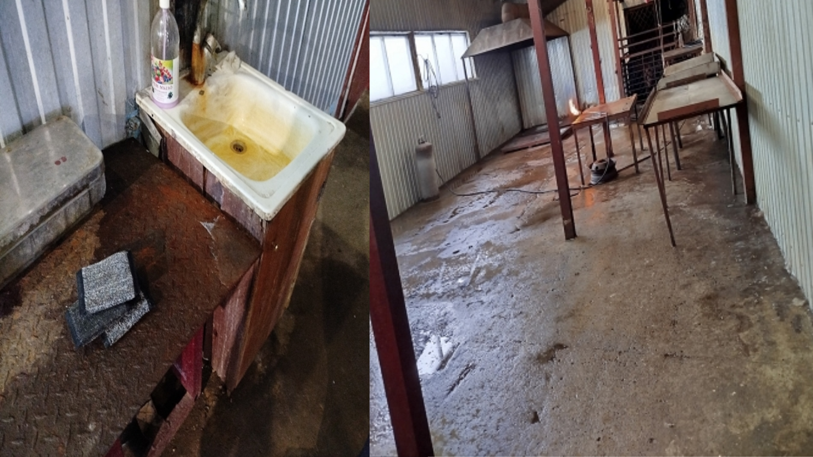 фото Управления Россельхознадзора по Орловской и Курской областям