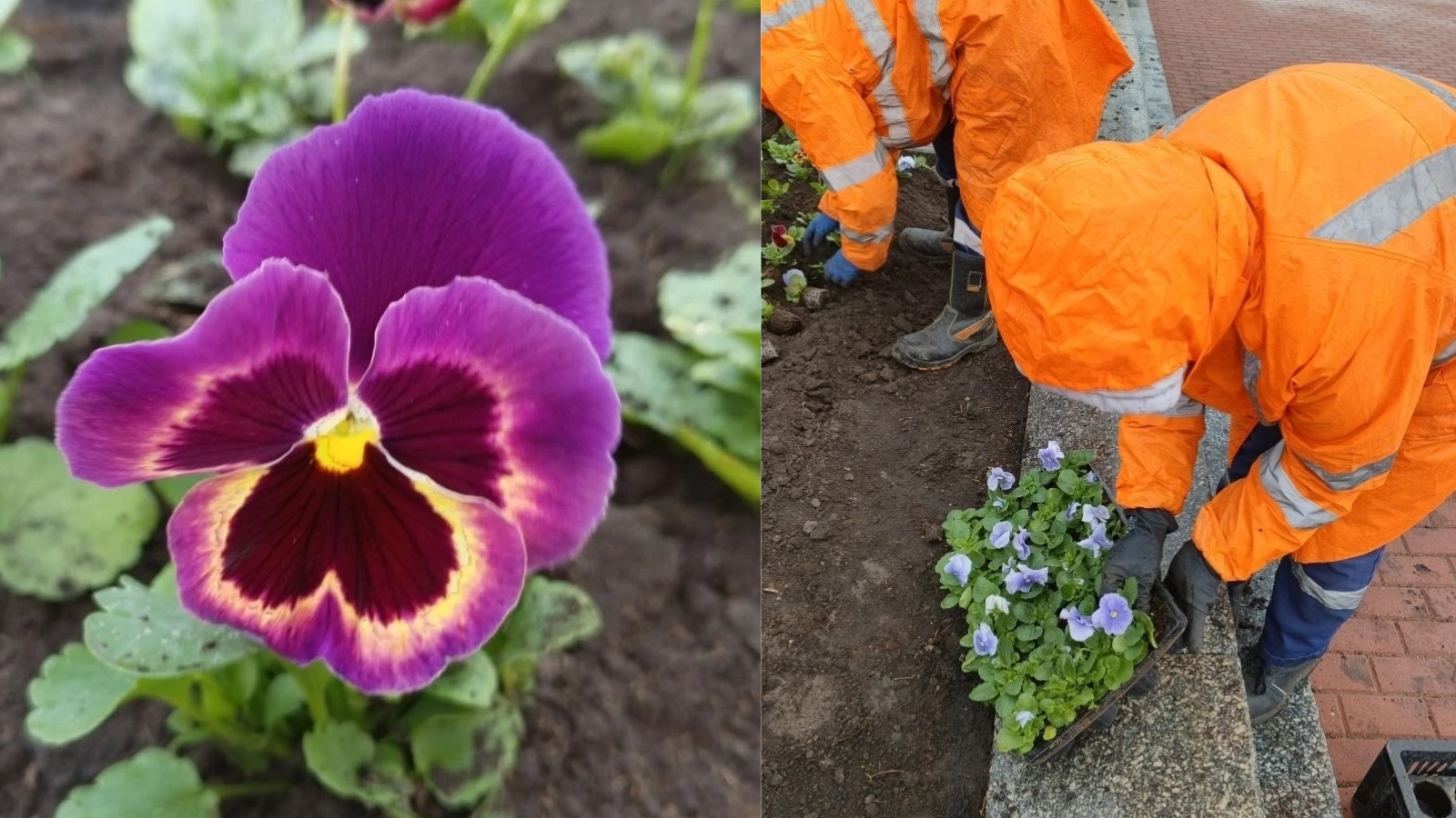 фото МБУ «Спецавтобаза»