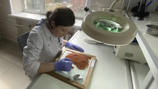 фото ФГБУ «ВНИИЗЖ»