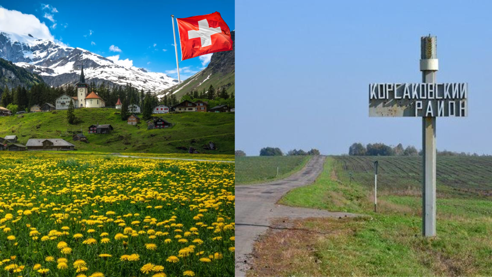 коллаж «ОВ»