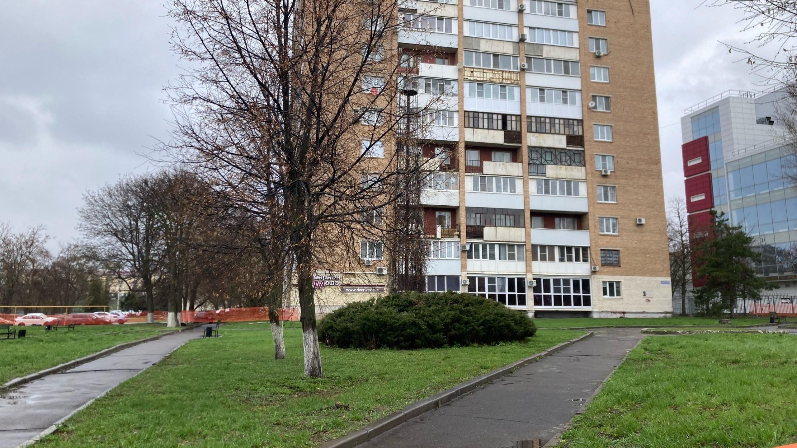 фото читательницы ОрелТаймс Ирины М.