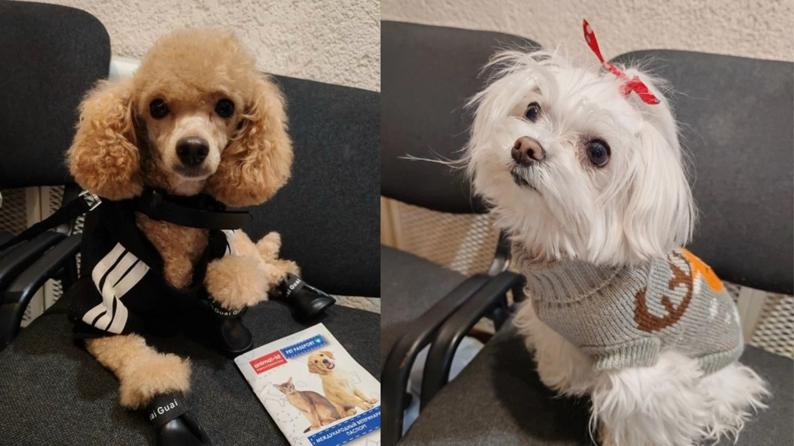 фото Управления Россельхознадзора Орловской области