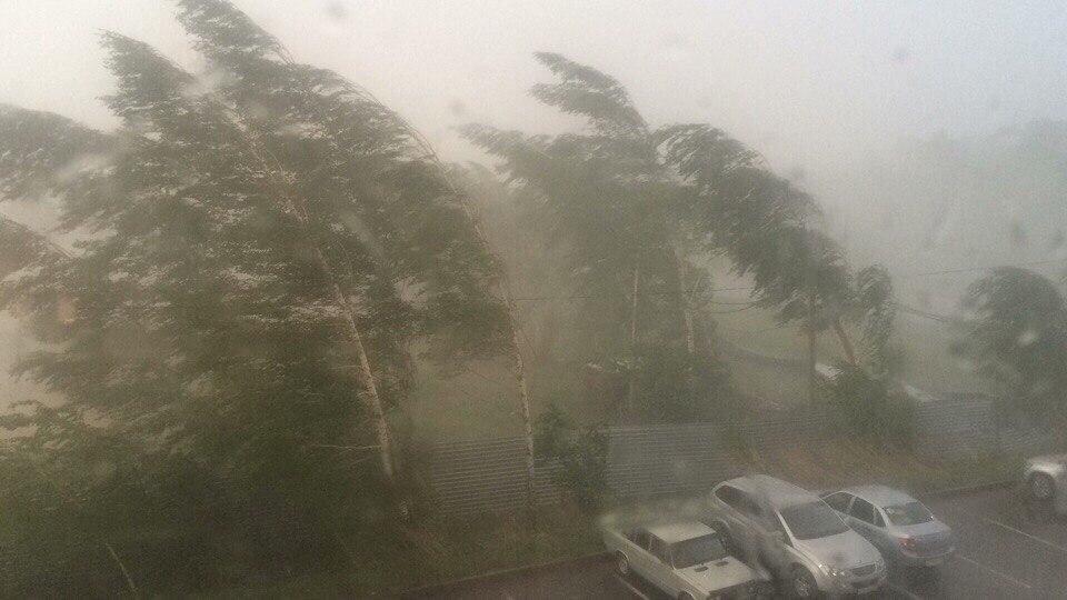 фото из соцсетей