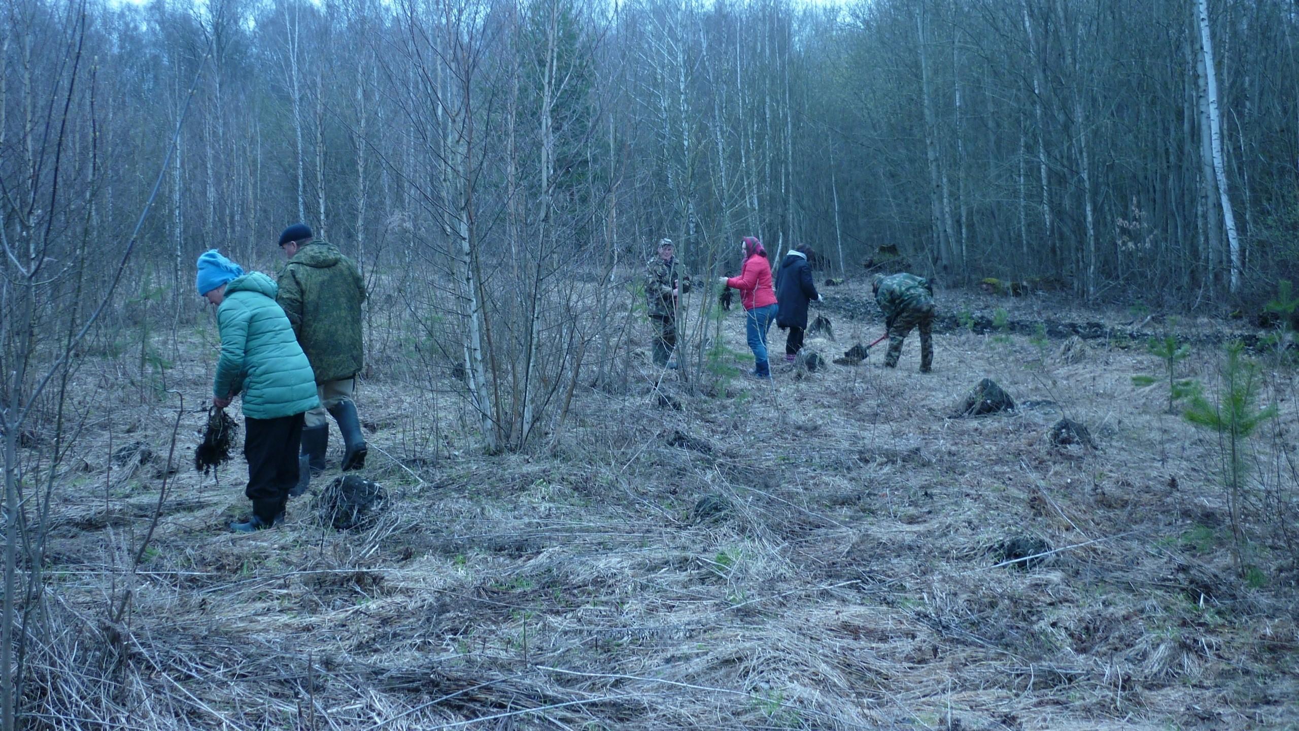 фото Управления лесами Орловской области