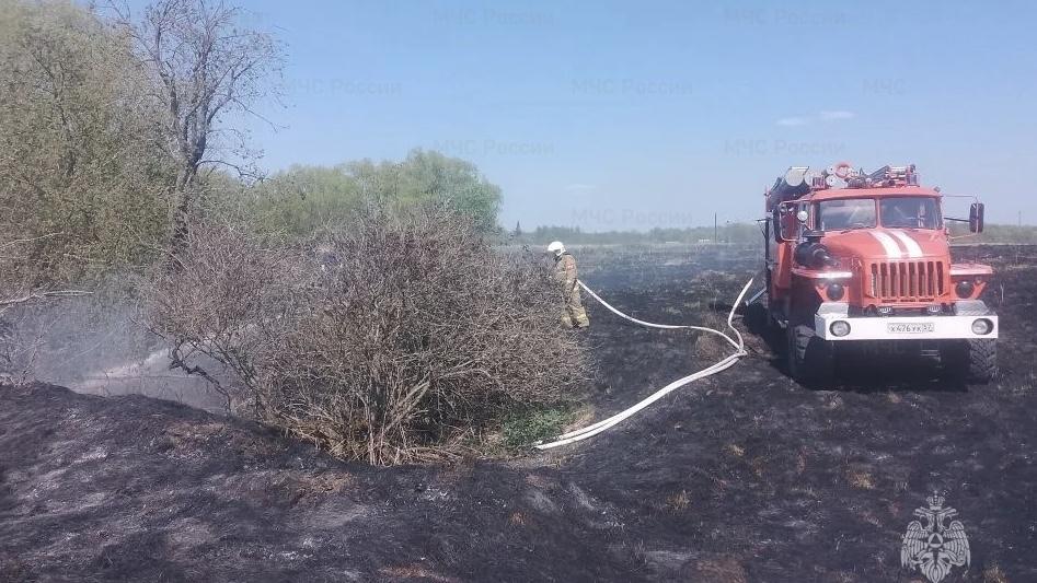 Фото ГУ МЧС России по Орловской области