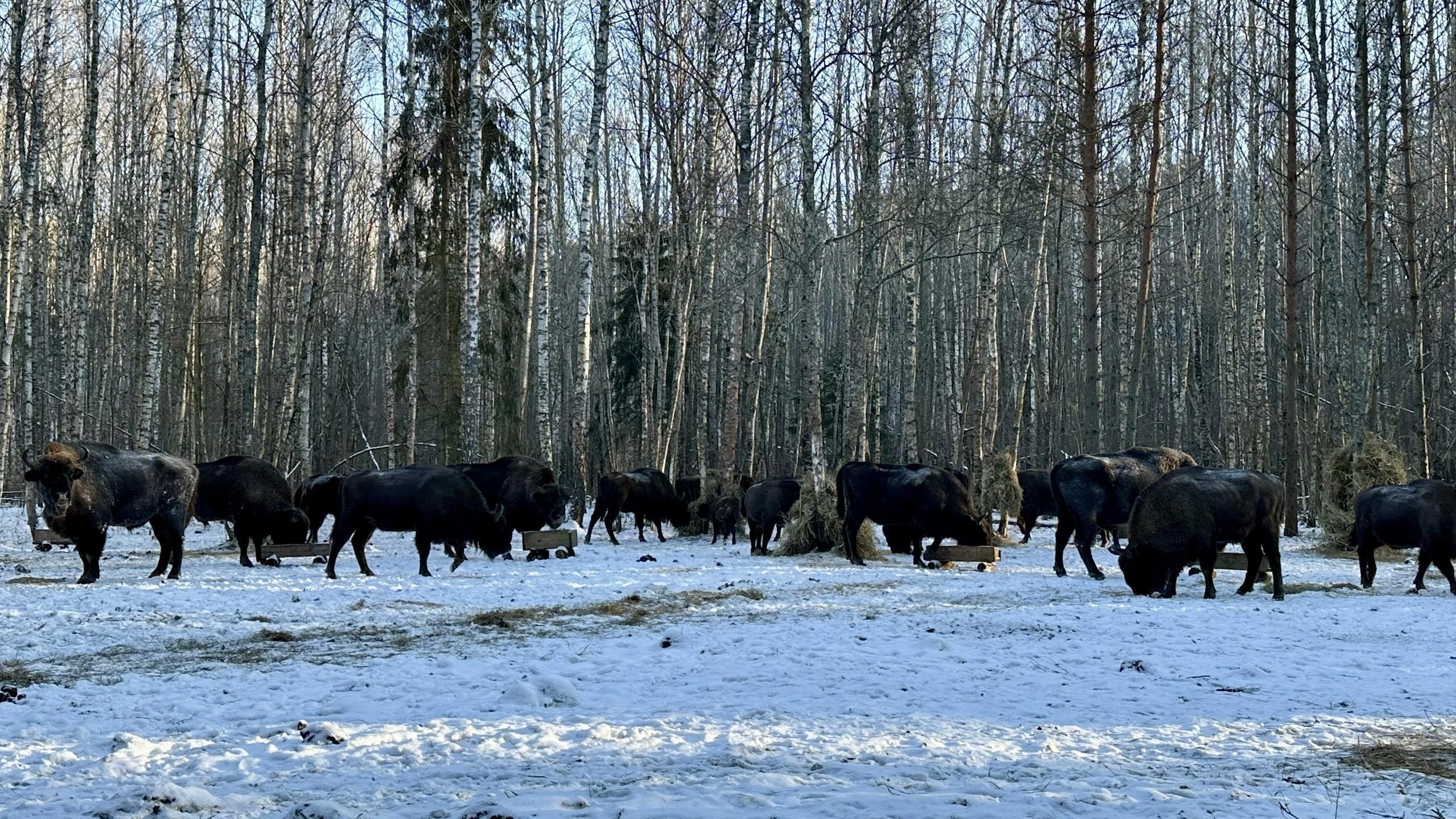 фото «ОВ»