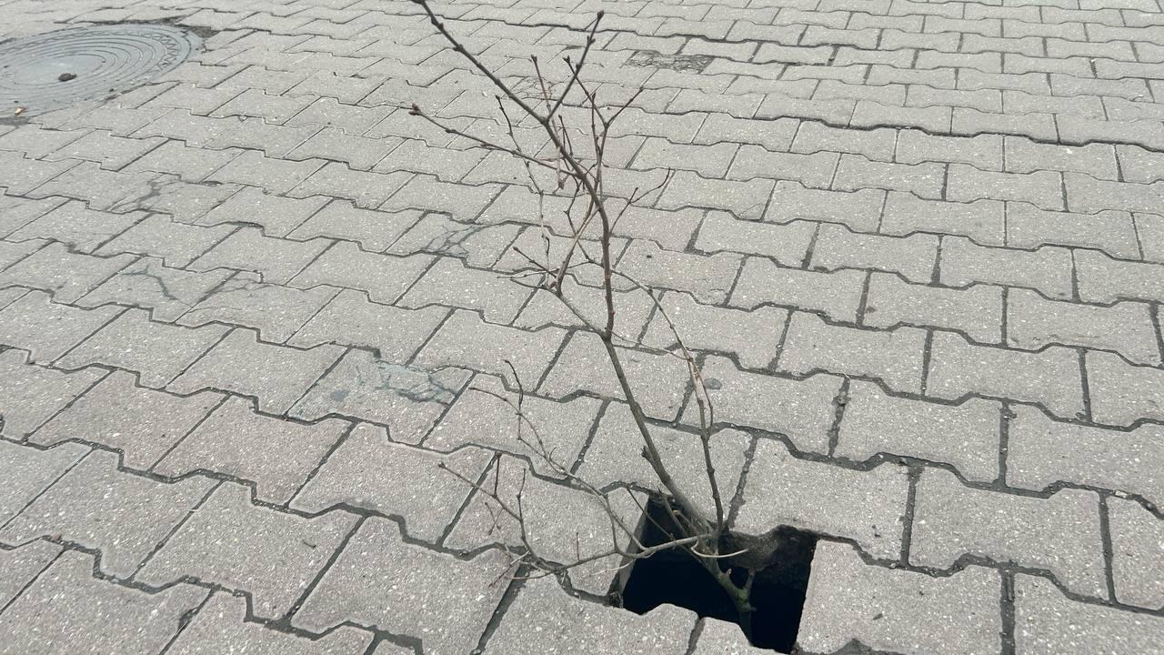 фото «ОВ»