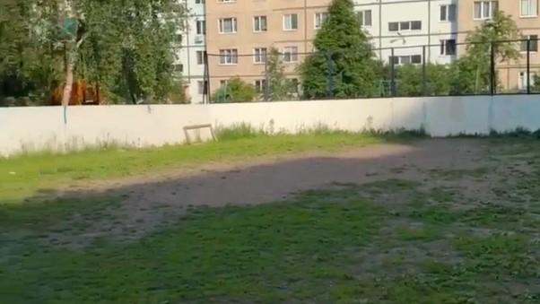 фото Орловского регионального отделения ЛДПР