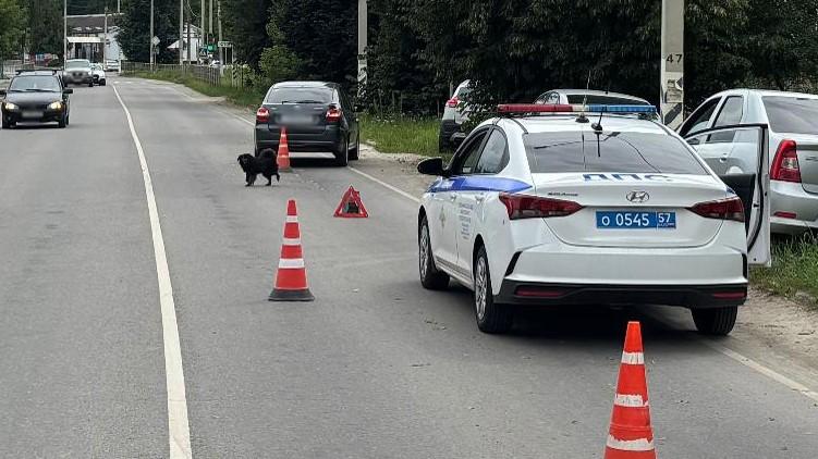 фото Управления Госавтоинспекции Орловской области
