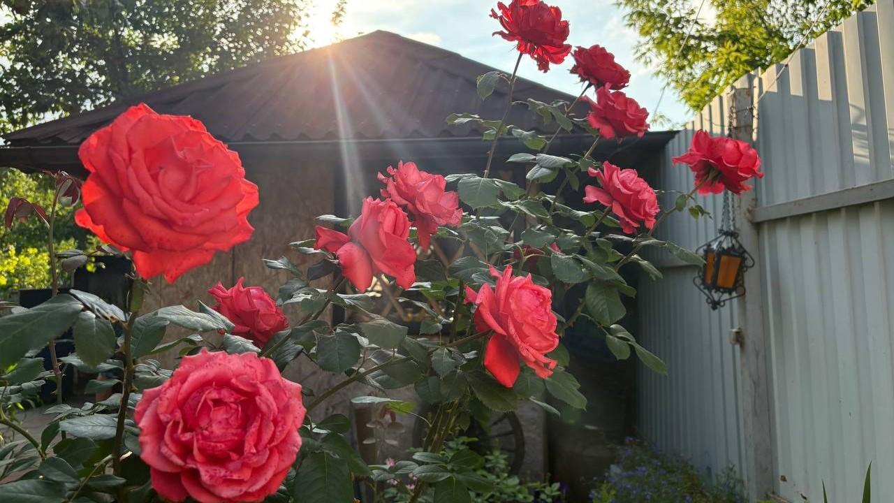 фото «ОВ»
