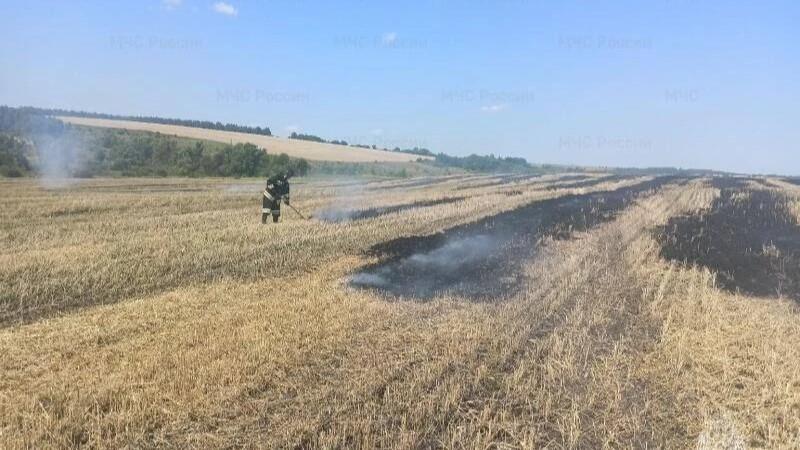 фото МЧС России по Орловской области