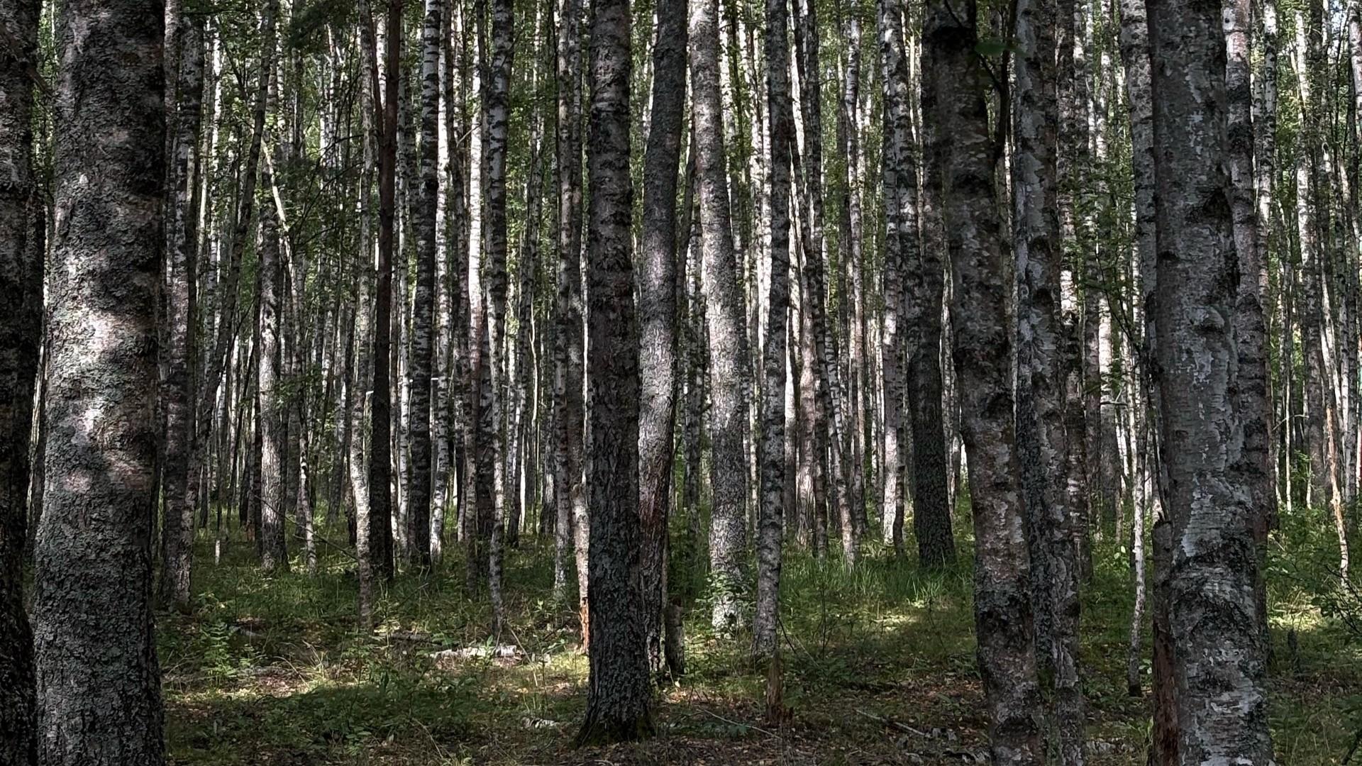 фото «ОВ»