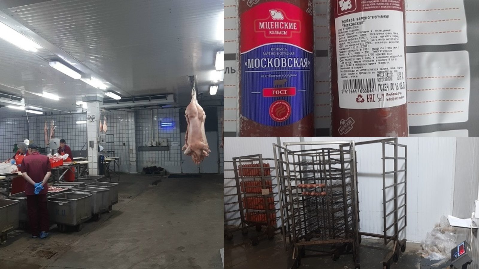 фото Управления Россельхознадзора по Орловской и Курской областям