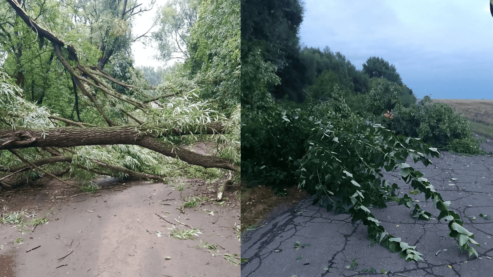 фото АО «Дорожная служба»
