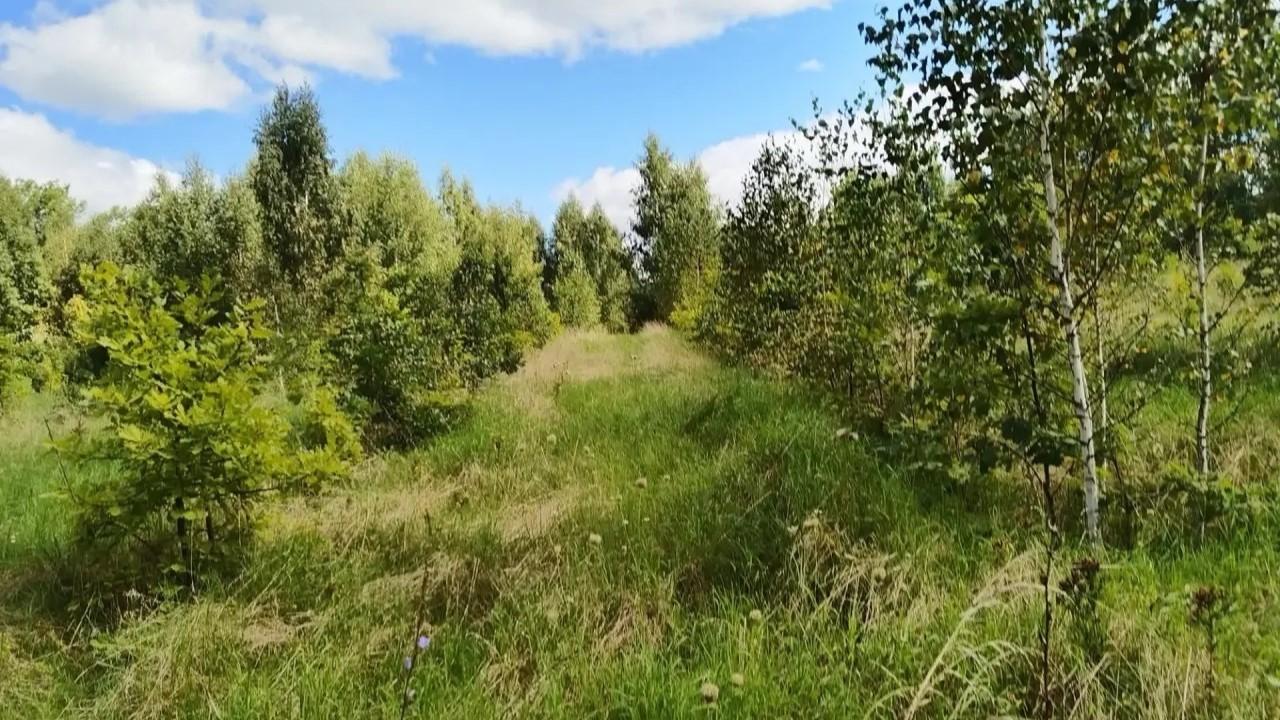 фото Управления лесами Орловской области