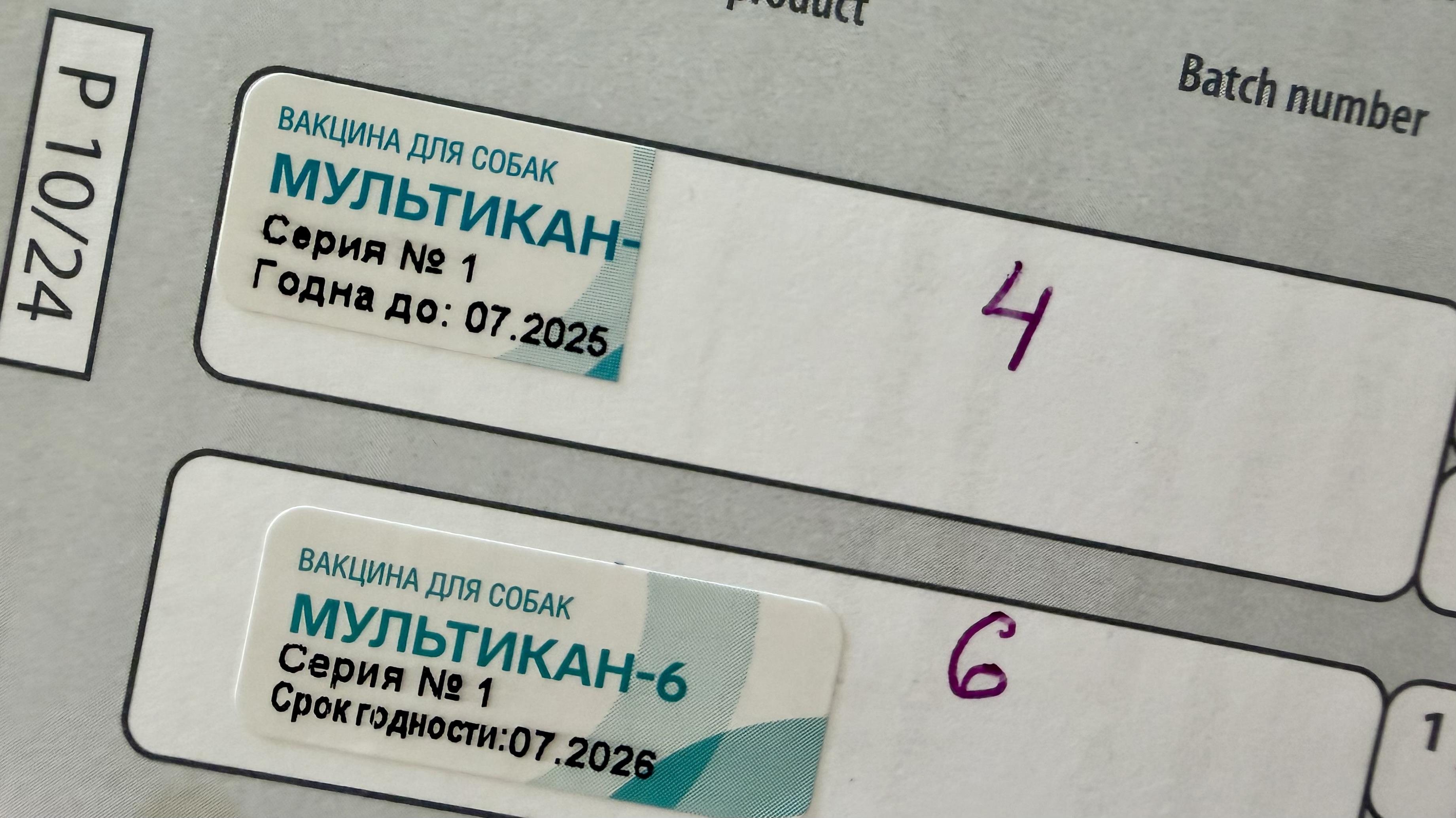 Фото «ОВ»