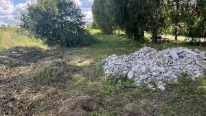фото Управления Россельхознадзора по Орловской и Курской областям