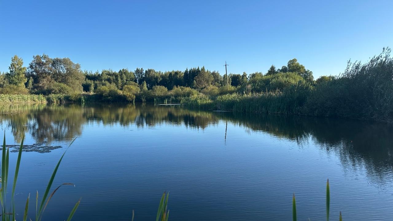 фото "ОВ"