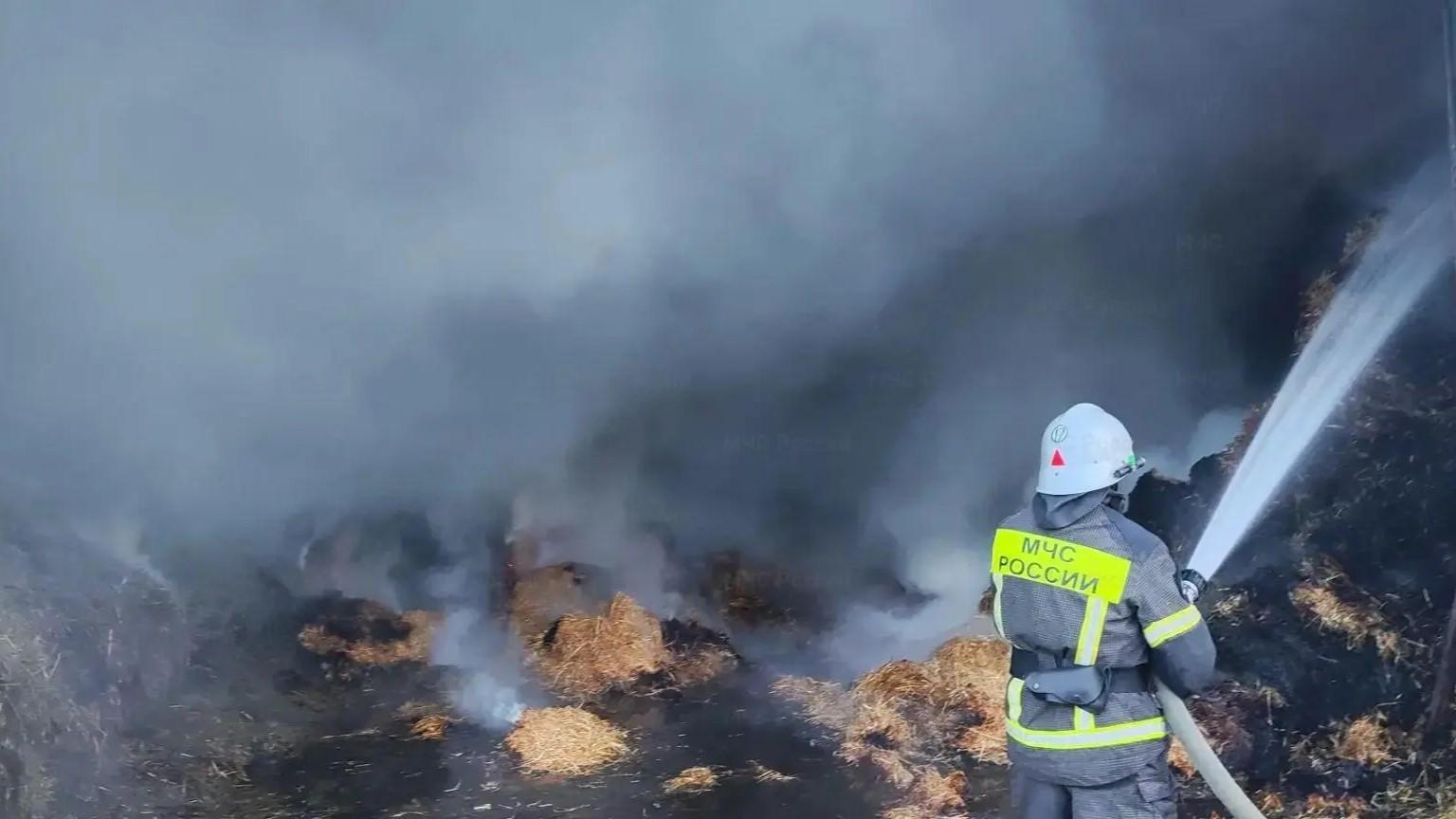 фото МЧС России по Орловской области