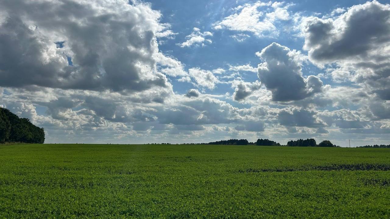 фото «ОВ»