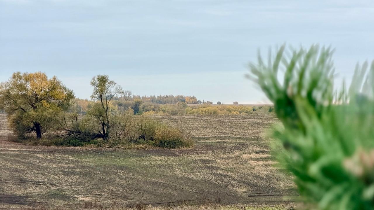 фото "ОВ"
