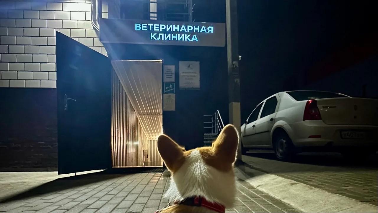 фото «ОВ»